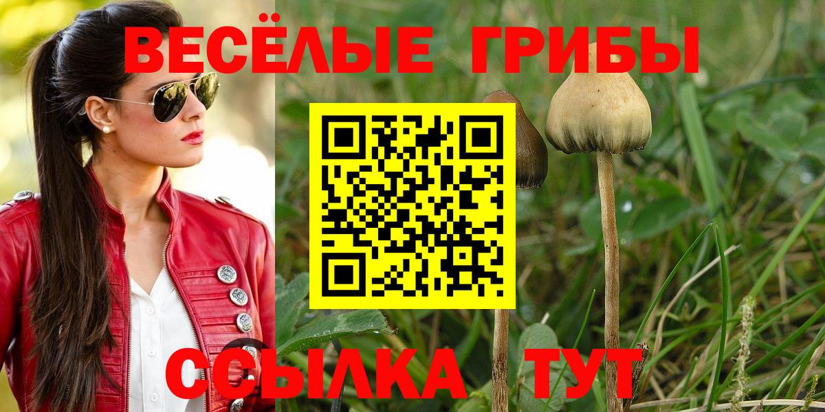 Псилоцибиновые грибы Cubensis Феодосия
