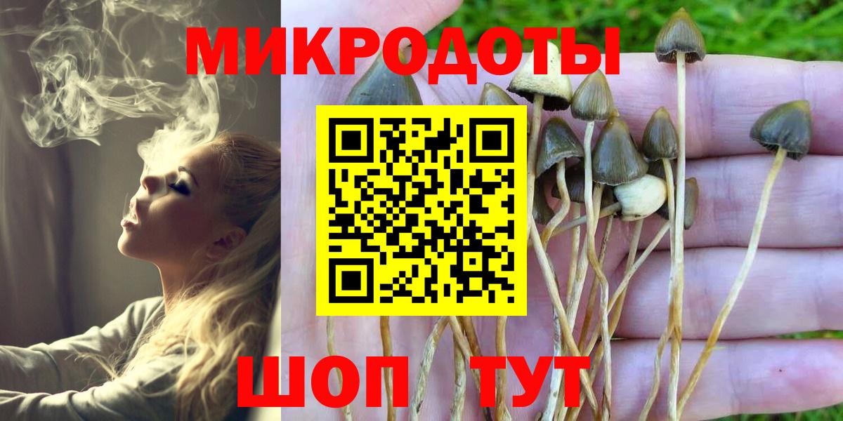 Псилоцибиновые грибы GOLDEN TEACHER  Вход с VPN  Феодосия 